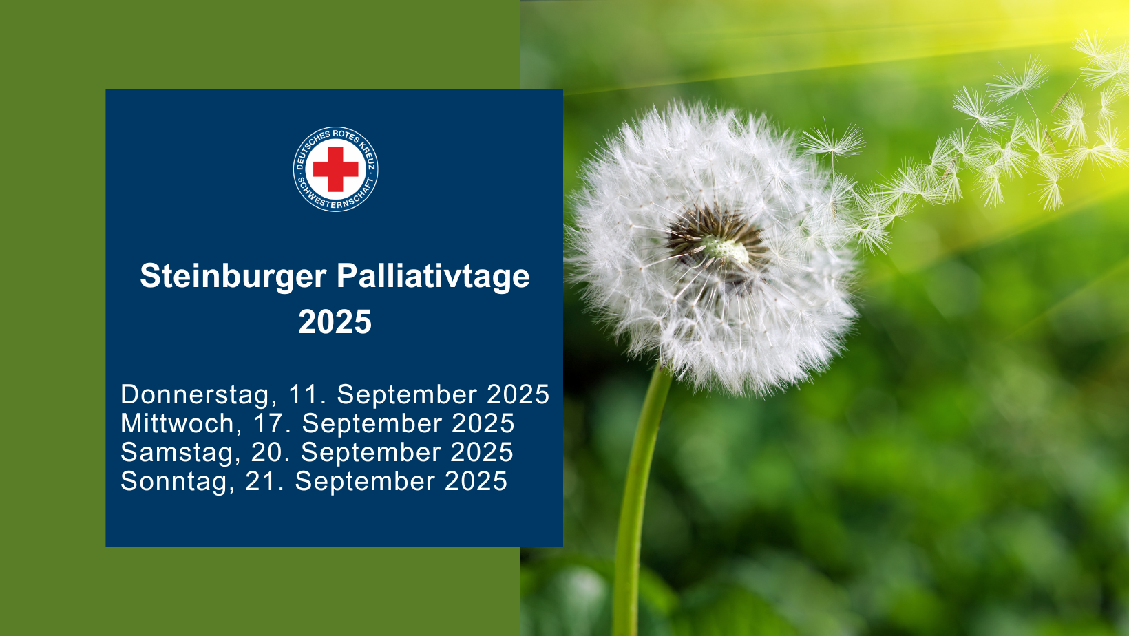 Steinburger Palliativtage 2024